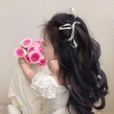 穿书古代我是太子的纨绔小舅子